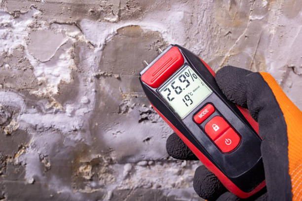 Best Commercial Mold Removal  in Lowell, AR